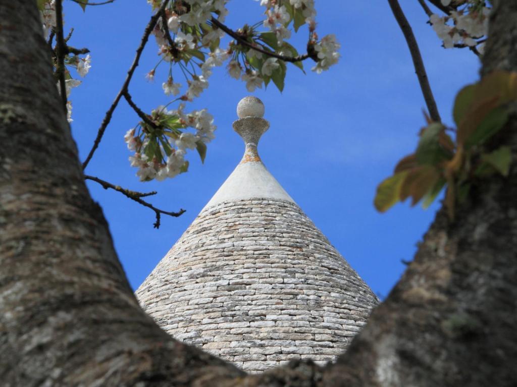 Penzion Pietraluce Alberobello Exteriér fotografie